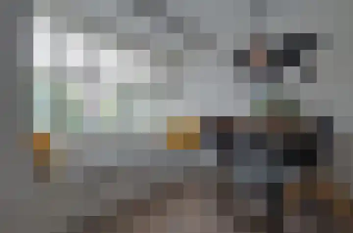 Prunushage 27 Assen thumbnail 9