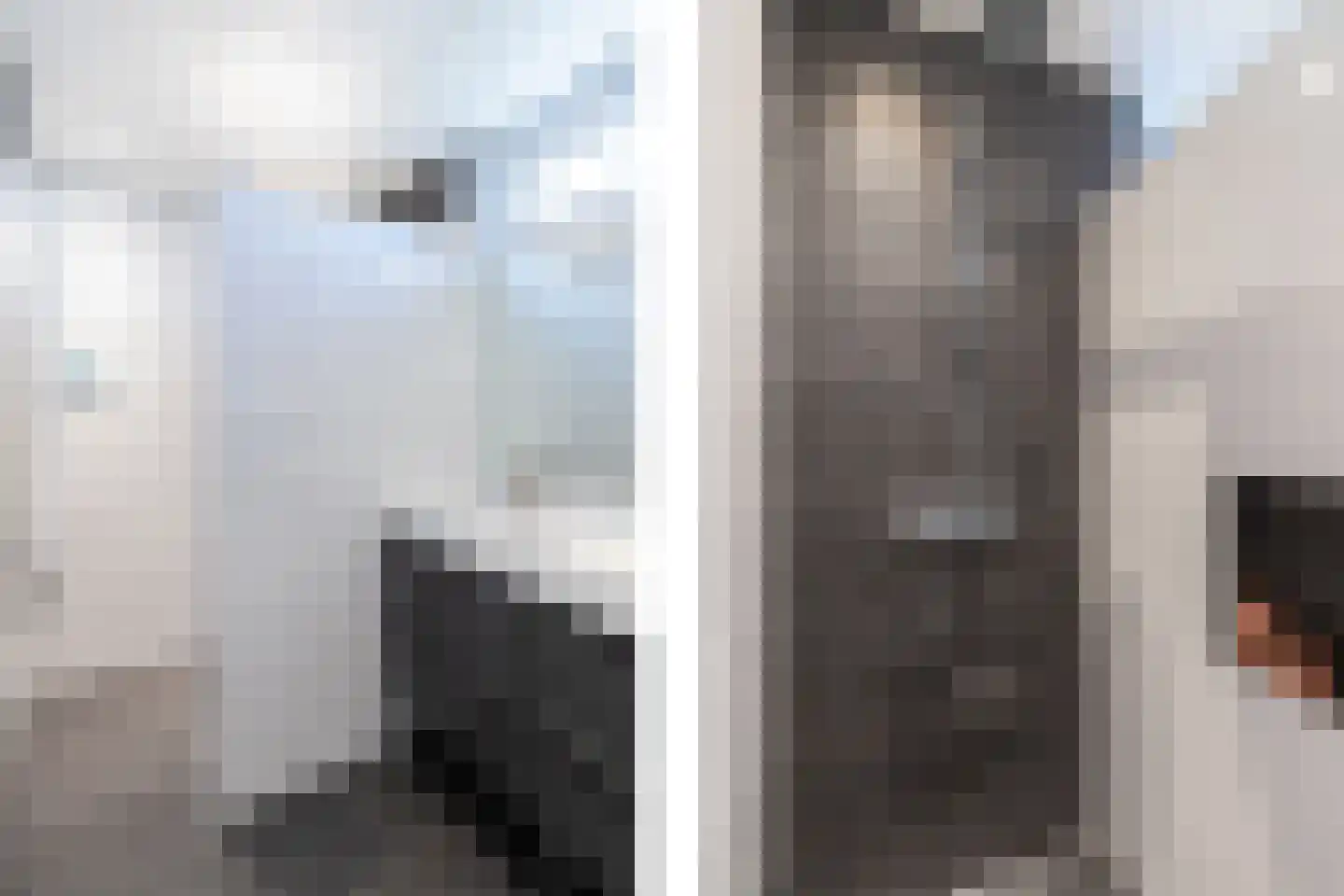 Prunushof 2 Papendrecht thumbnail 35