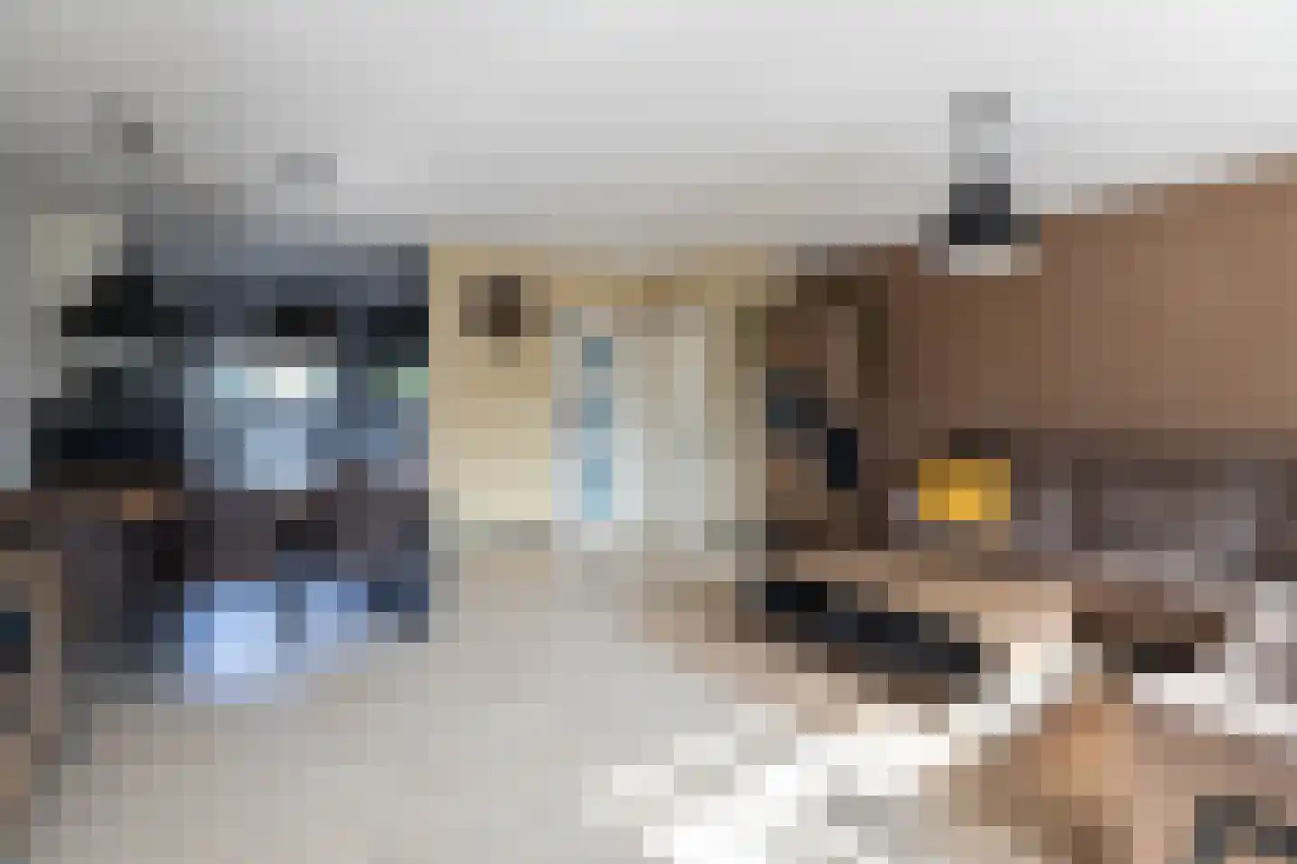 Prunushof 2 Papendrecht thumbnail 4
