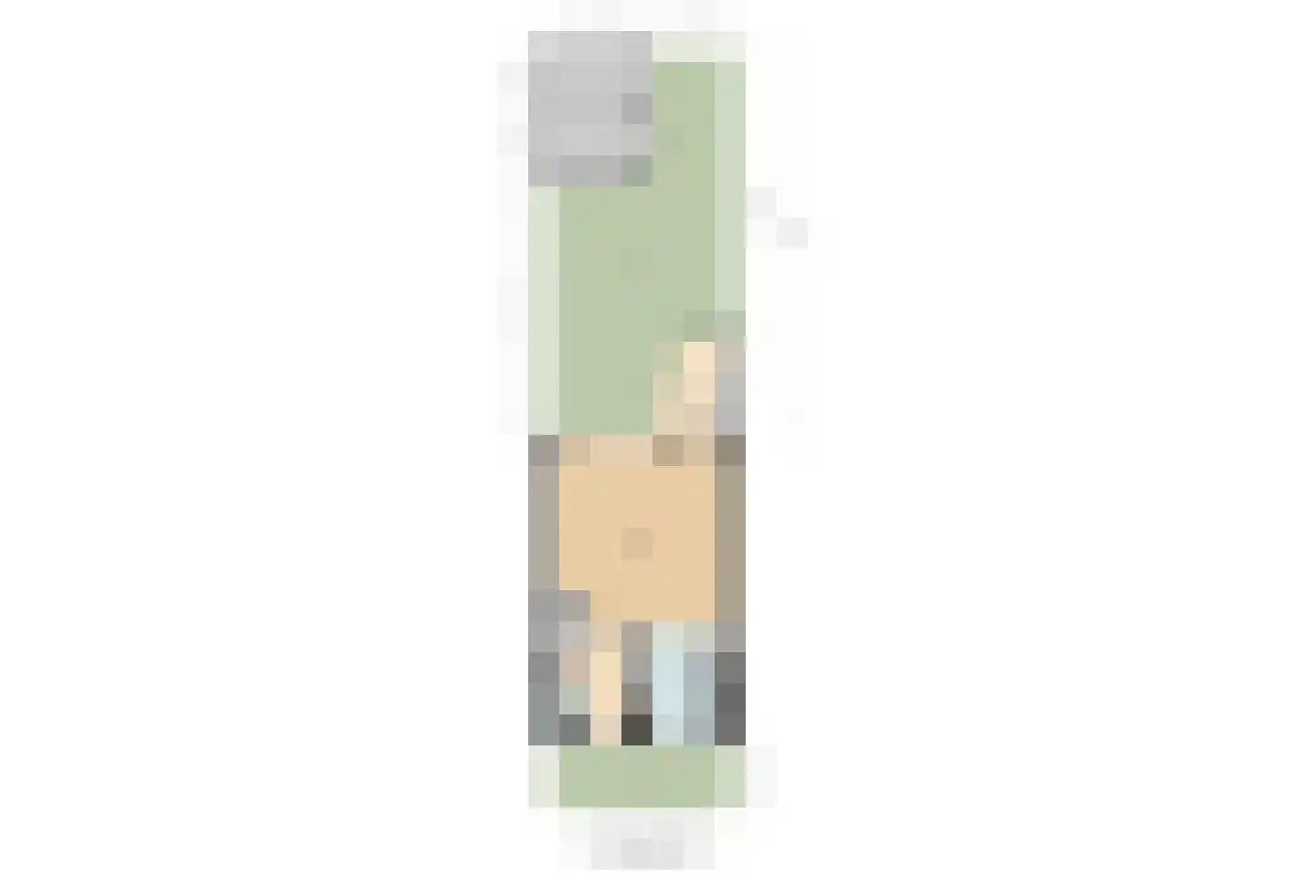 Prunushof 2 Papendrecht thumbnail 40