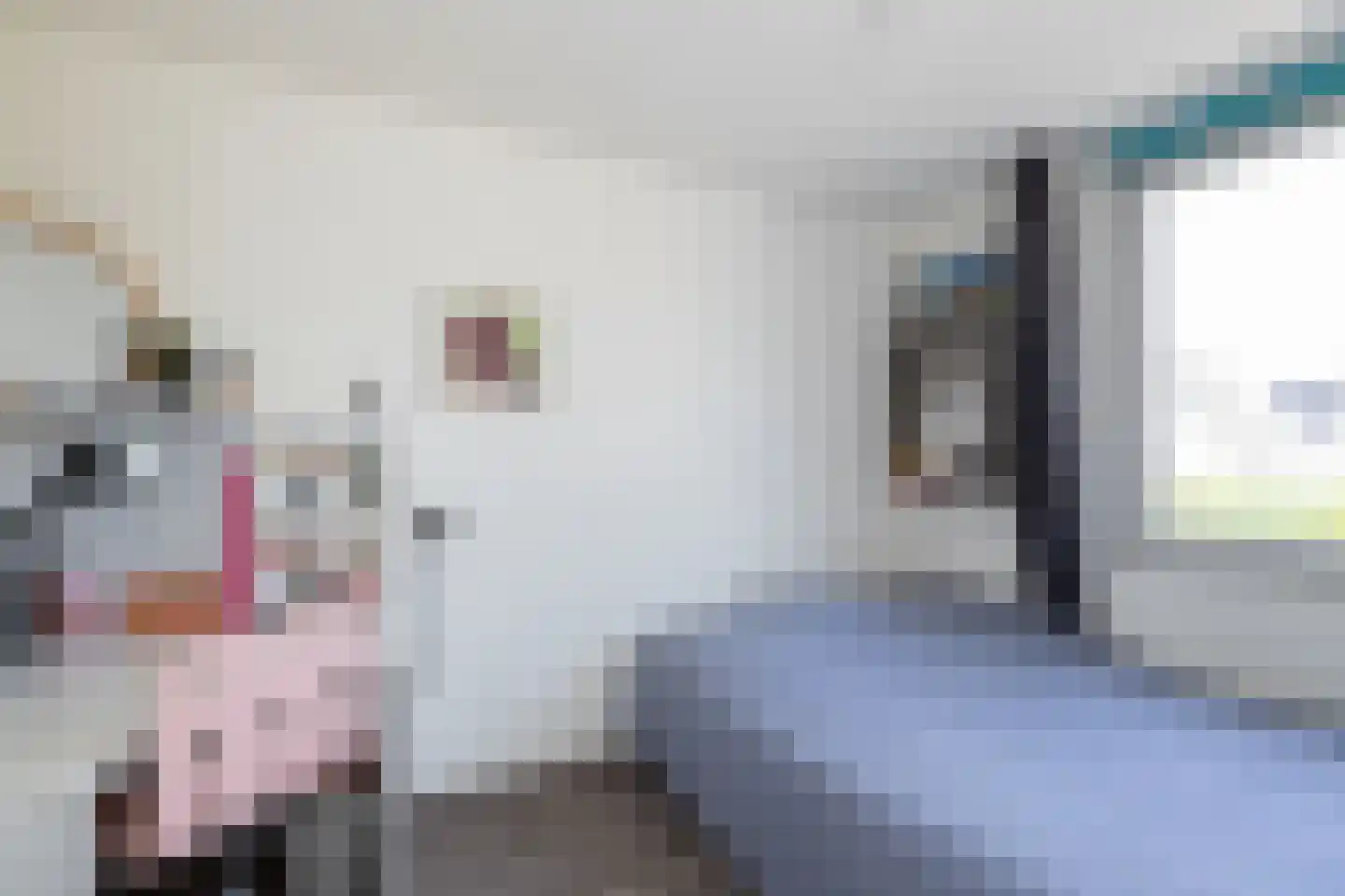 Prunushof 2 Papendrecht thumbnail 9