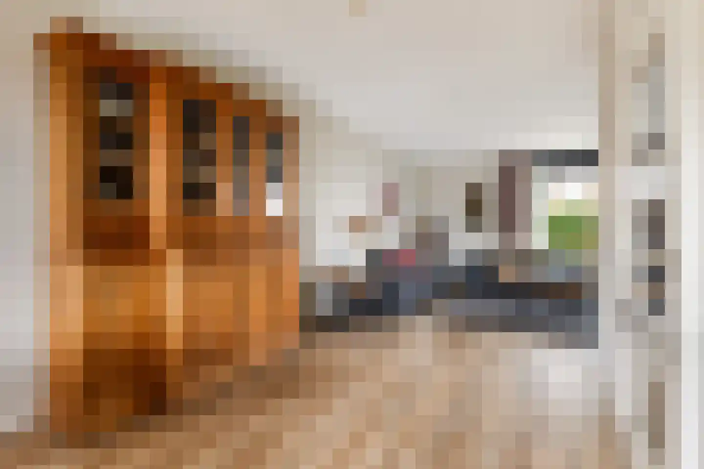 Prunushof 3 Woudenberg thumbnail 11