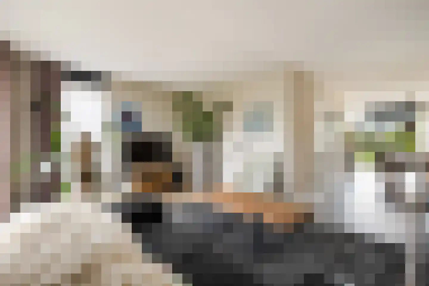 Prunushof 3 Woudenberg thumbnail 12