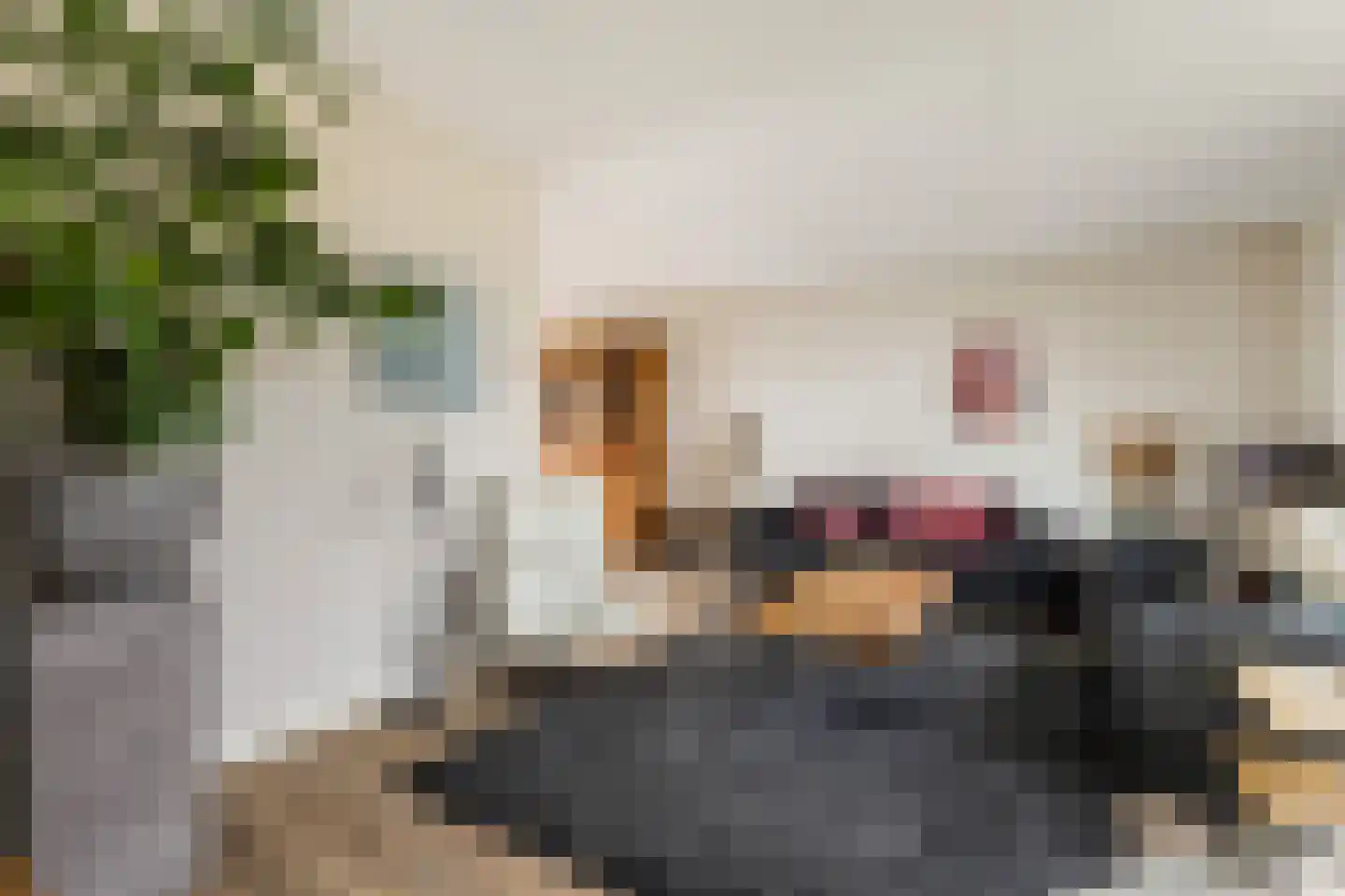Prunushof 3 Woudenberg thumbnail 13