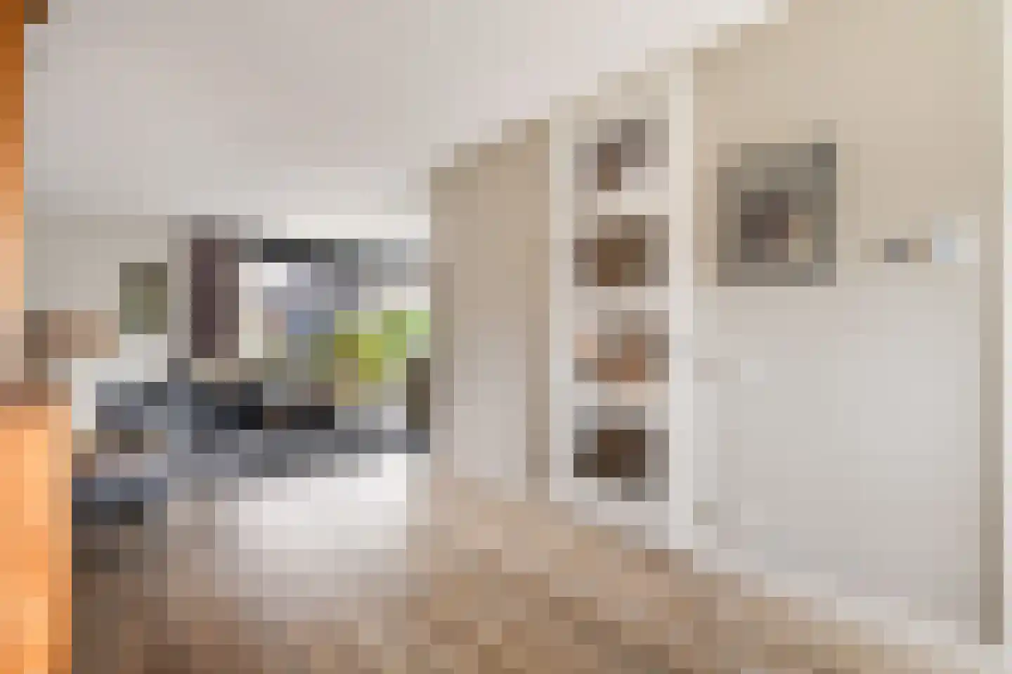 Prunushof 3 Woudenberg thumbnail 24