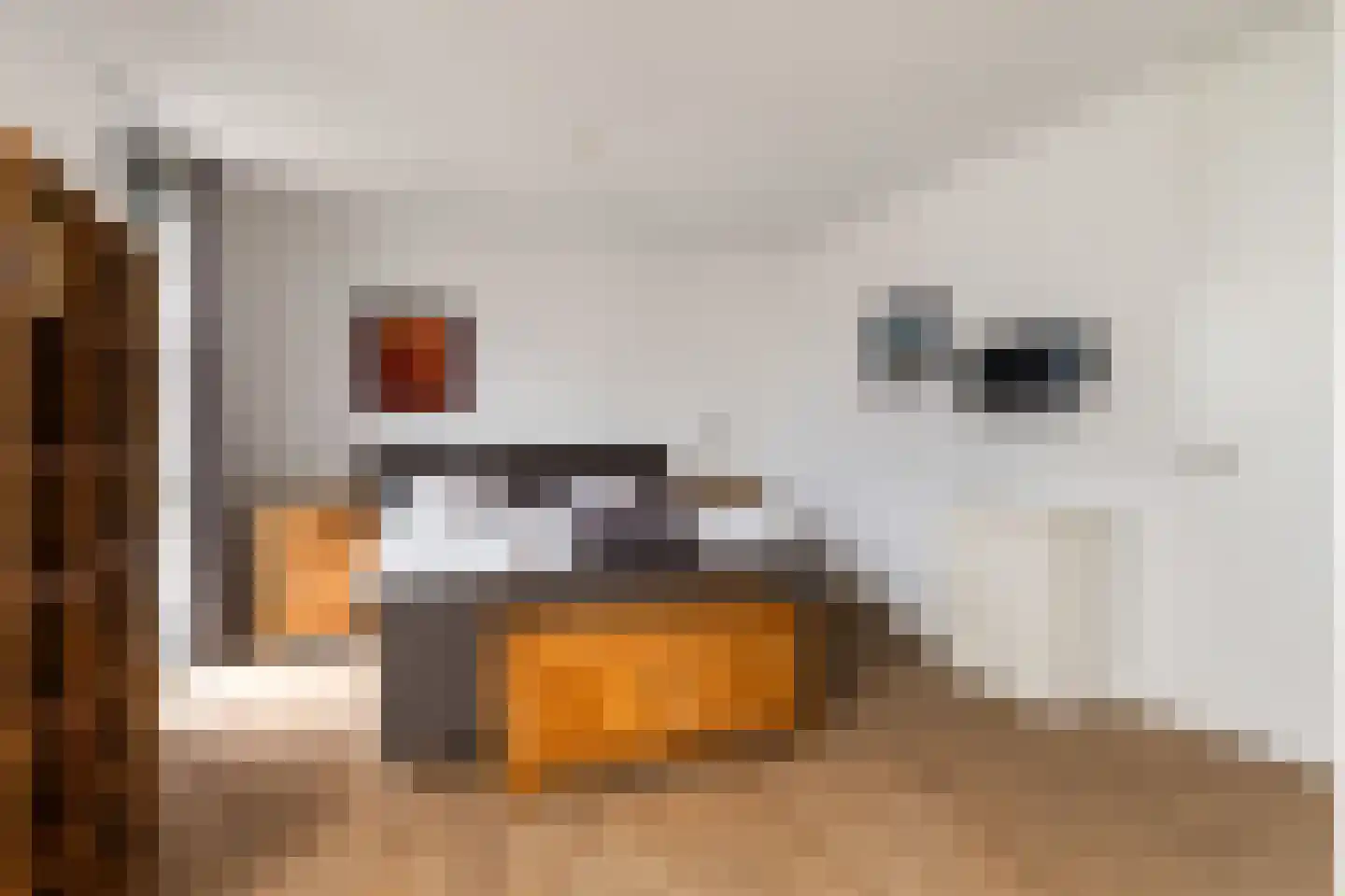 Prunushof 3 Woudenberg thumbnail 27