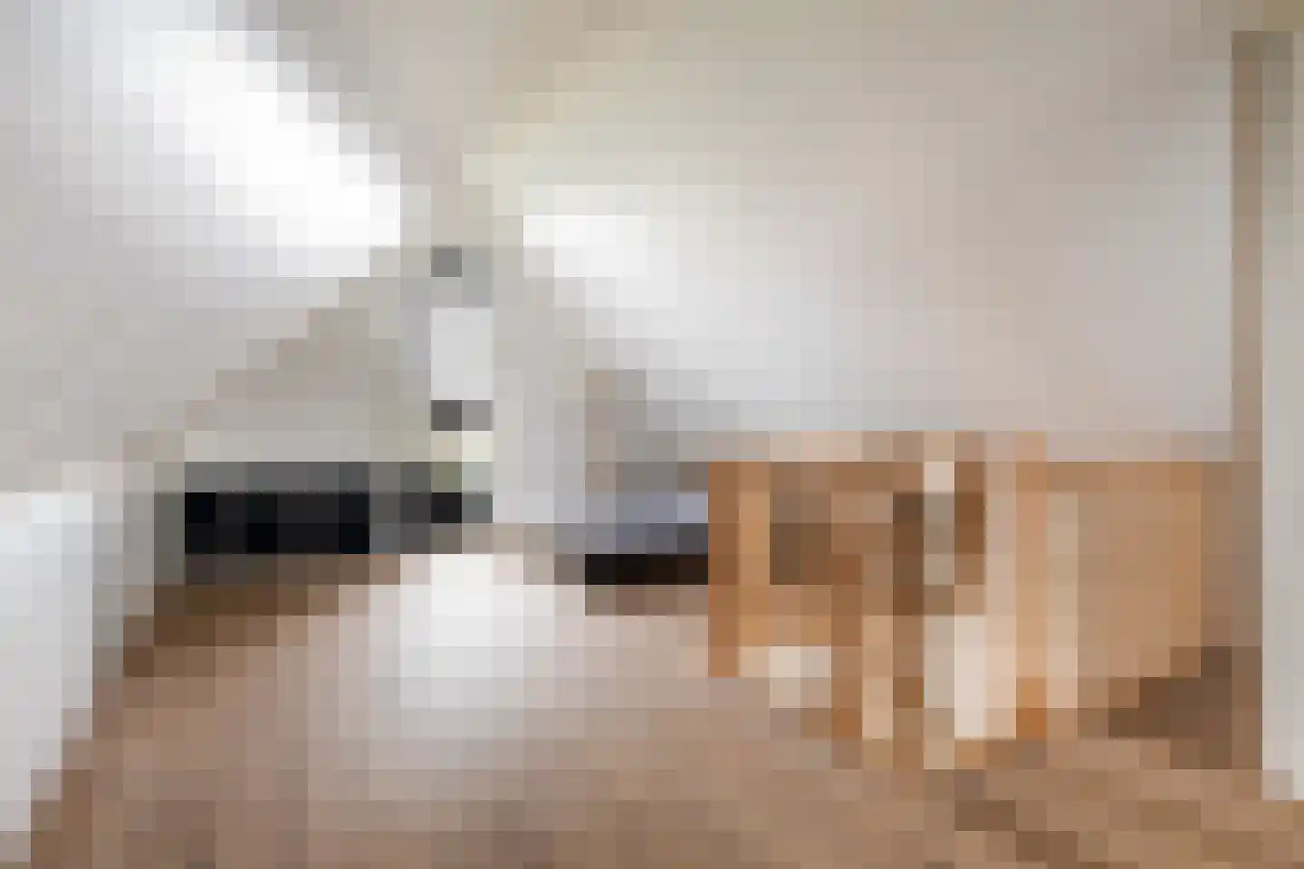 Prunushof 3 Woudenberg thumbnail 38