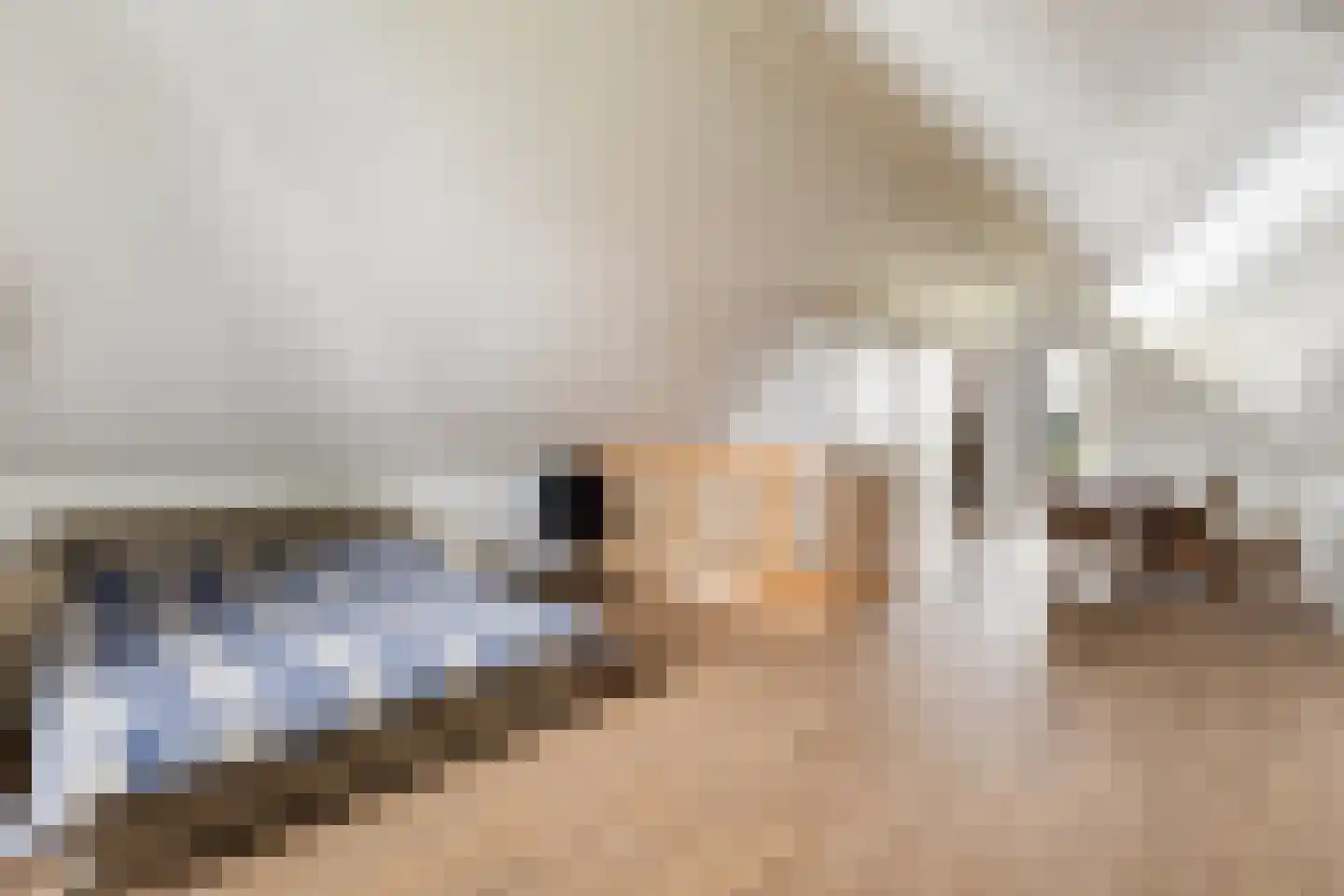Prunushof 3 Woudenberg thumbnail 39