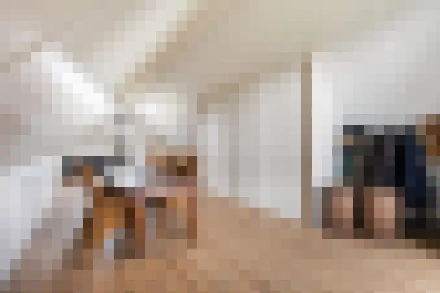 Prunushof 3 Woudenberg thumbnail 41