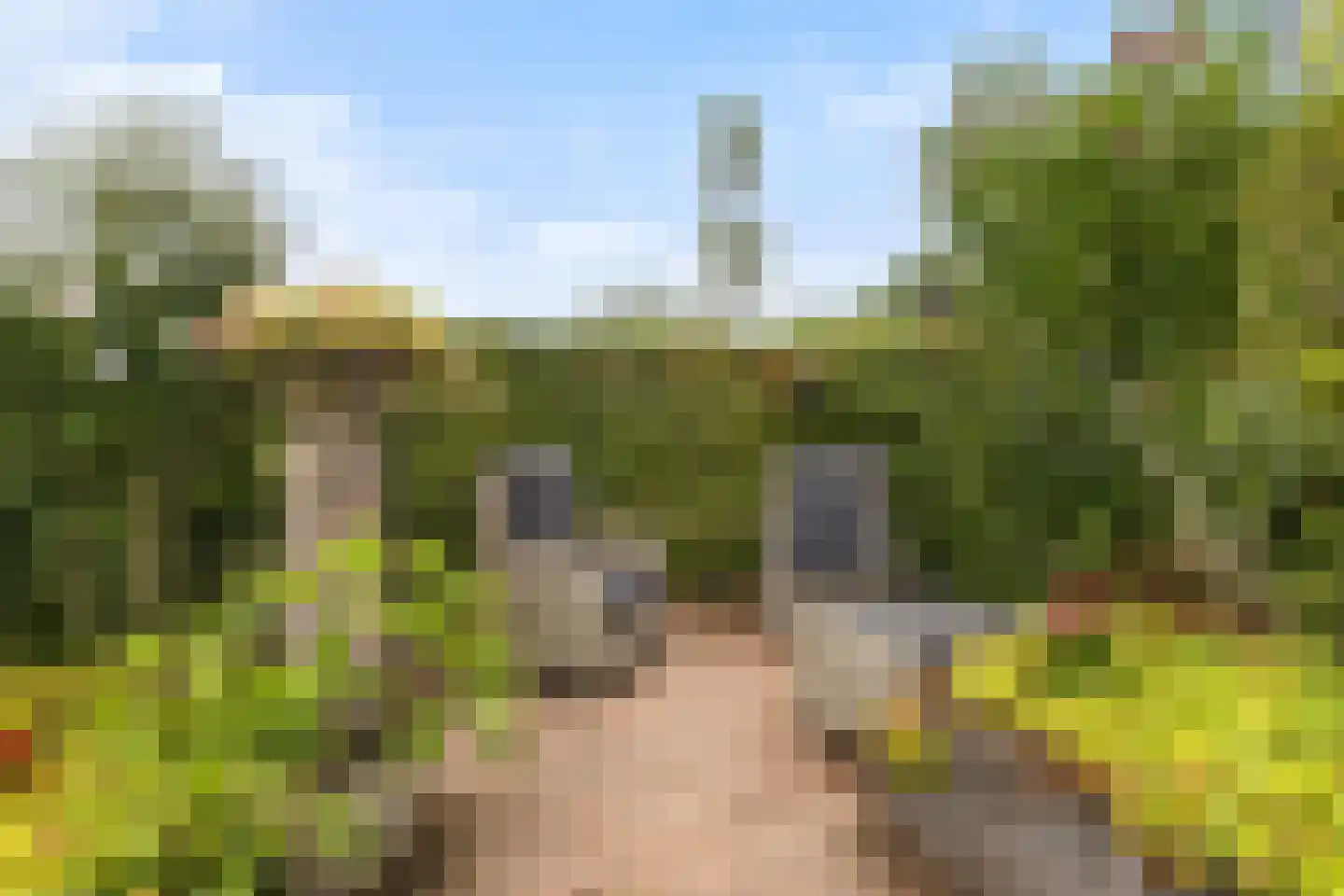 Prunushof 3 Woudenberg thumbnail 44