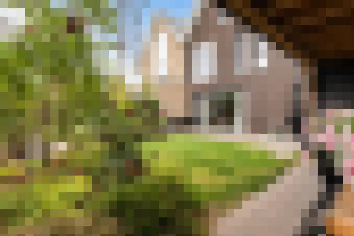 Prunushof 3 Woudenberg thumbnail 46