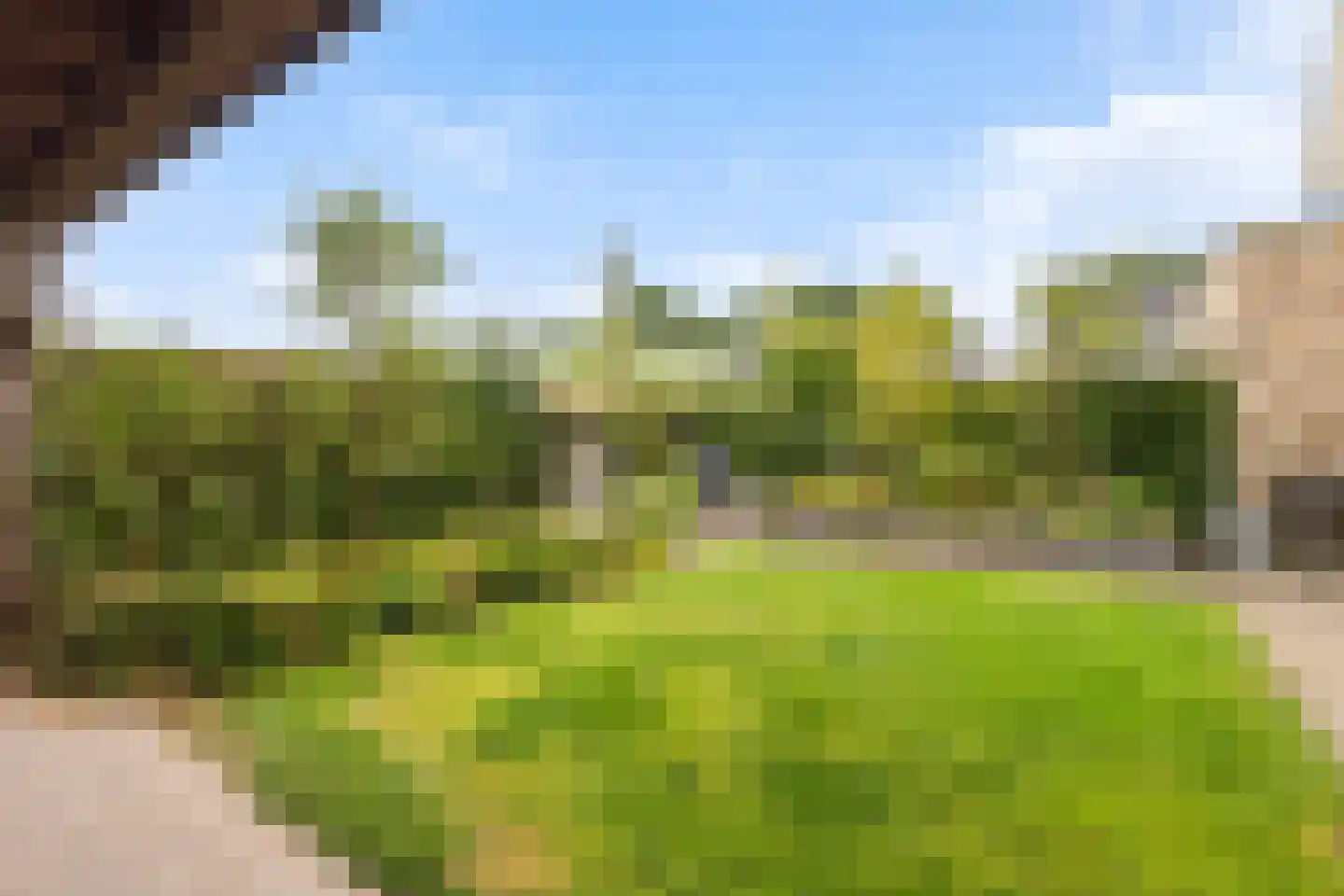 Prunushof 3 Woudenberg thumbnail 47