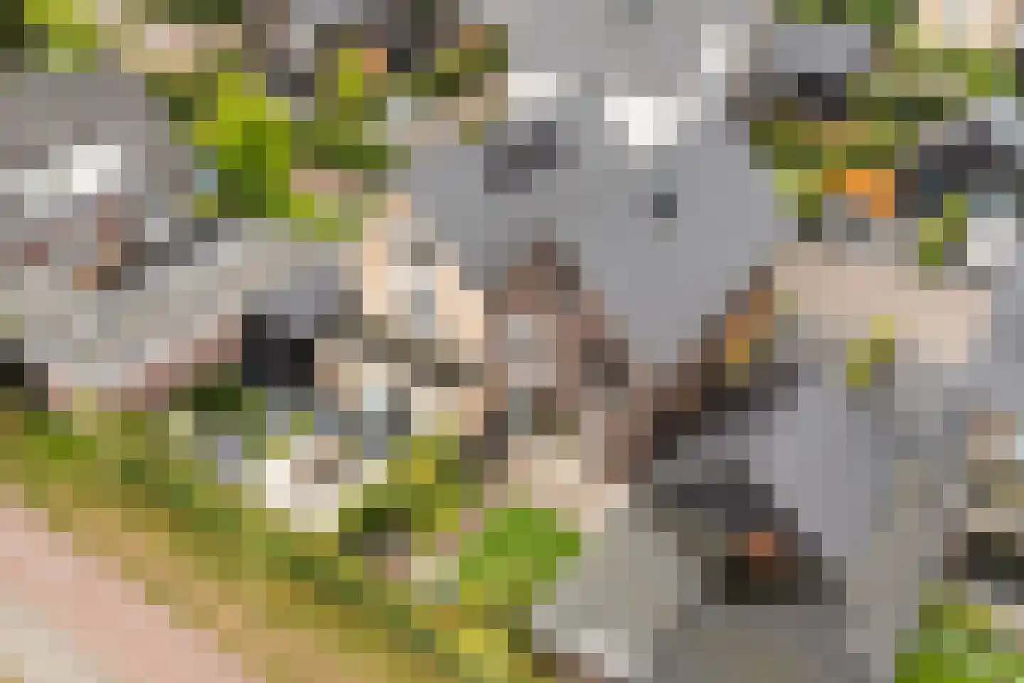 Prunushof 3 Woudenberg thumbnail 48