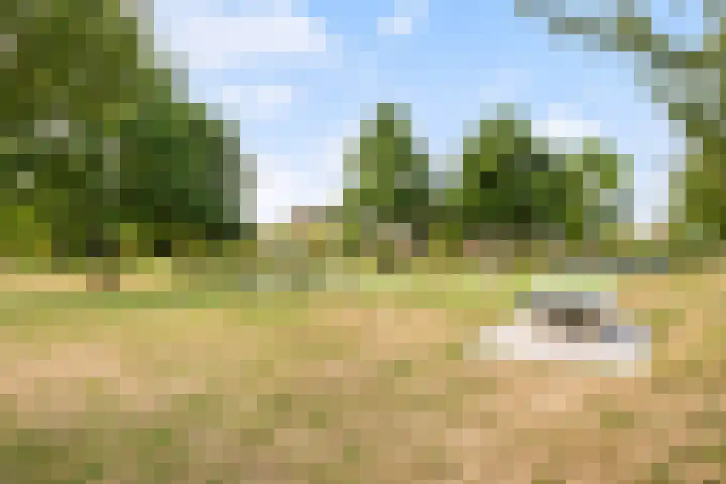 Prunushof 3 Woudenberg thumbnail 51