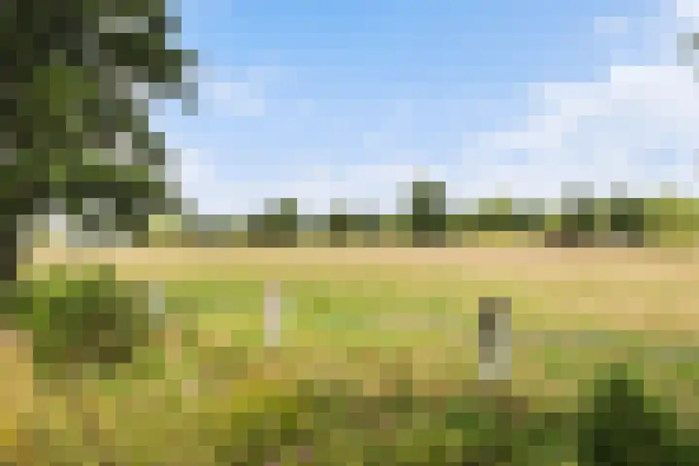 Prunushof 3 Woudenberg thumbnail 52