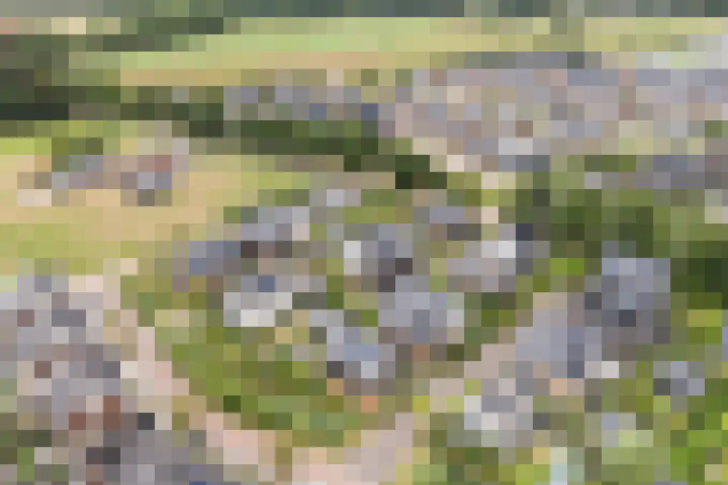 Prunushof 3 Woudenberg thumbnail 6