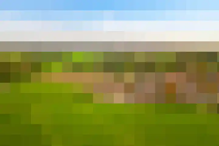 Prunushof 34 Zelhem thumbnail 33