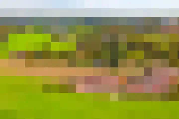 Prunushof 34 Zelhem thumbnail 34