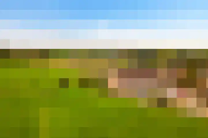Prunushof 34 Zelhem thumbnail 35
