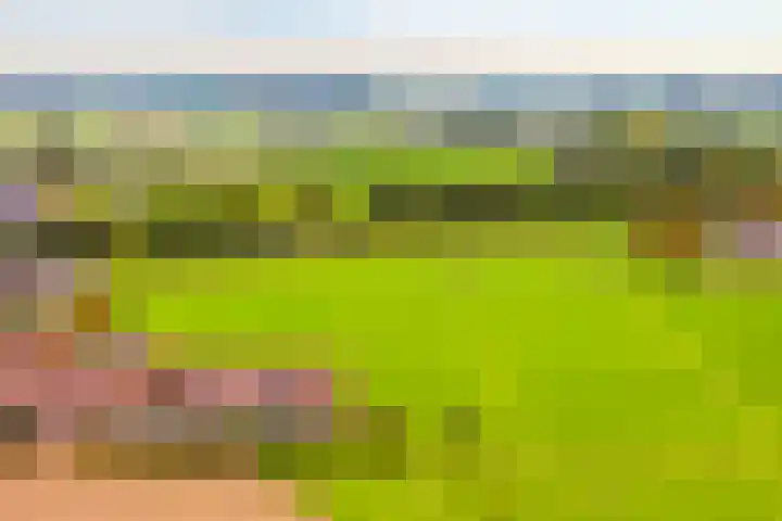 Prunushof 34 Zelhem thumbnail 36