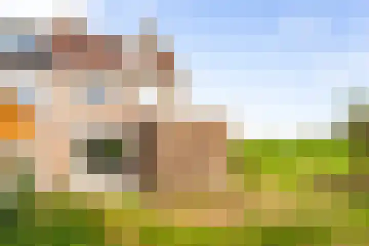 Prunushof 34 Zelhem thumbnail 4