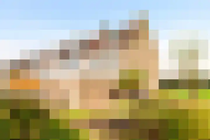 Prunushof 34 Zelhem thumbnail 5