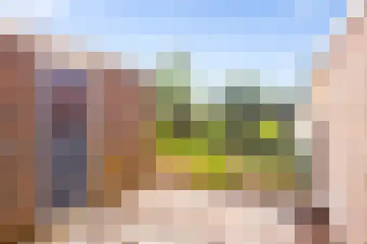 Prunushof 34 Zelhem thumbnail 7