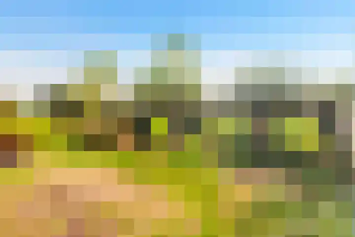 Prunushof 34 Zelhem thumbnail 8