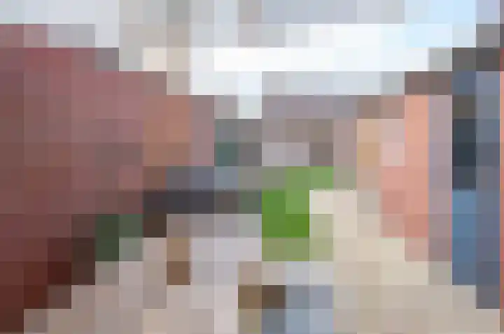 Prunushof 5 Zelhem thumbnail 30