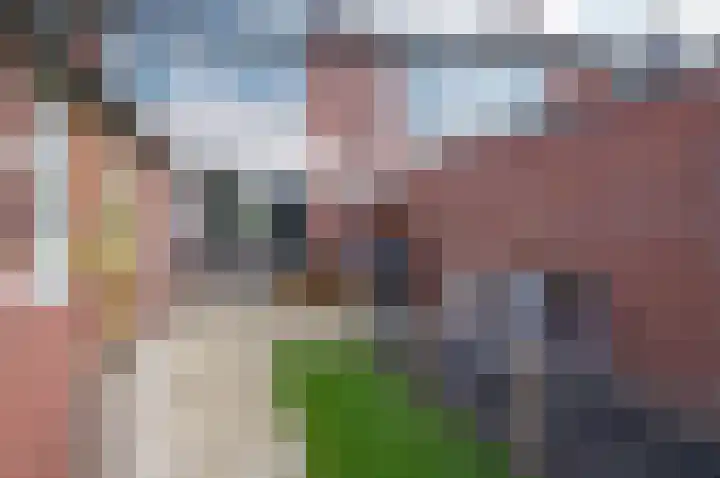 Prunushof 5 Zelhem thumbnail 35