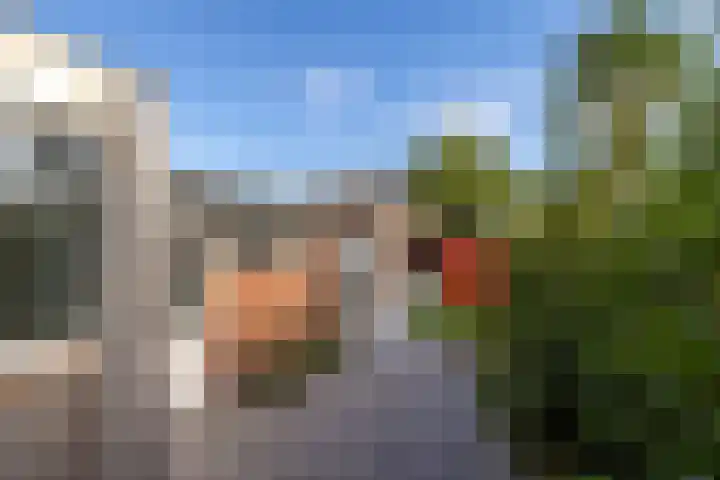 Prunushof 50 Zelhem thumbnail 17