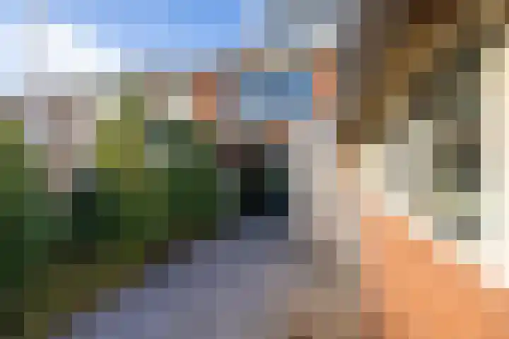 Prunushof 50 Zelhem thumbnail 18