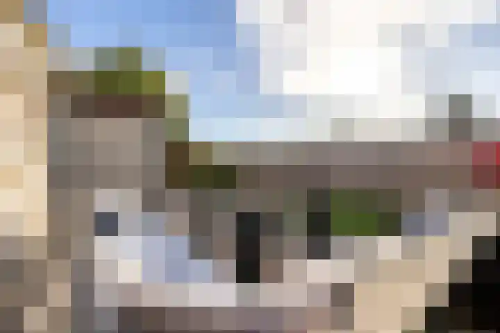 Prunushof 50 Zelhem thumbnail 20