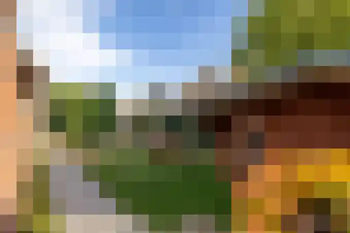 Prunushof 50 Zelhem thumbnail 22