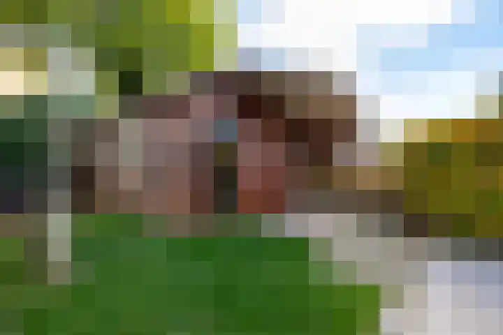 Prunushof 50 Zelhem thumbnail 23