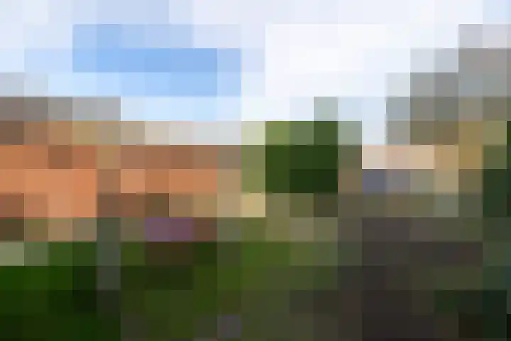 Prunushof 50 Zelhem thumbnail 24