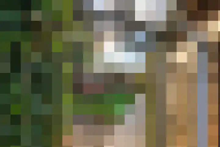 Prunushof 50 Zelhem thumbnail 25