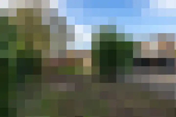 Prunushof 50 Zelhem thumbnail 26