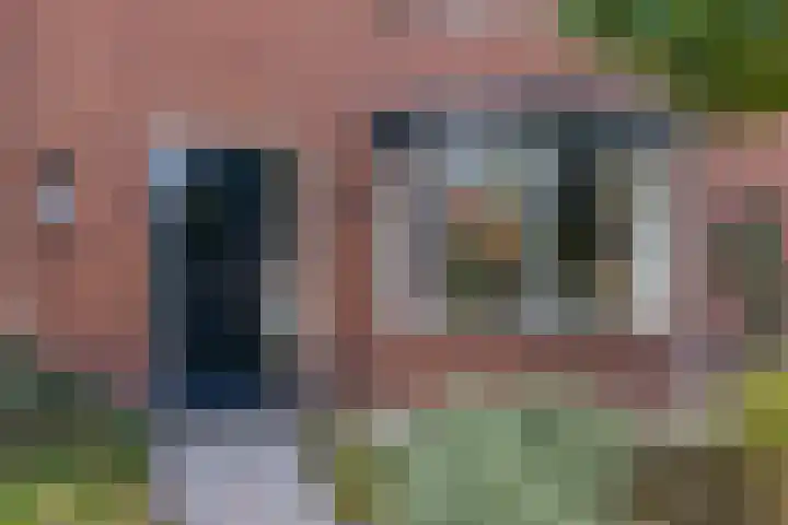 Prunushof 50 Zelhem thumbnail 30