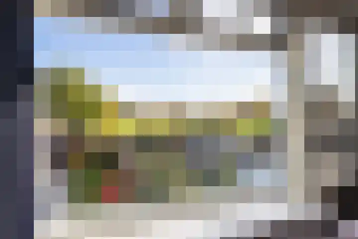 Prunushof 50 Zelhem thumbnail 34