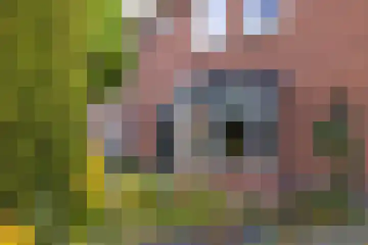 Prunushof 50 Zelhem thumbnail 48