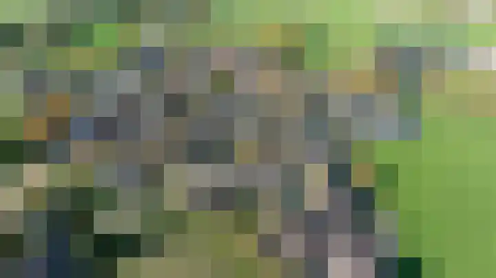 Prunushof 50 Zelhem thumbnail 55