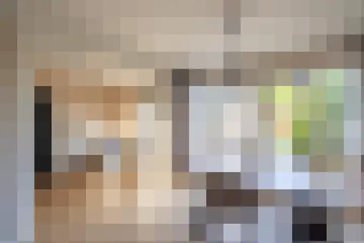 Prunushof 50 Zelhem thumbnail 7