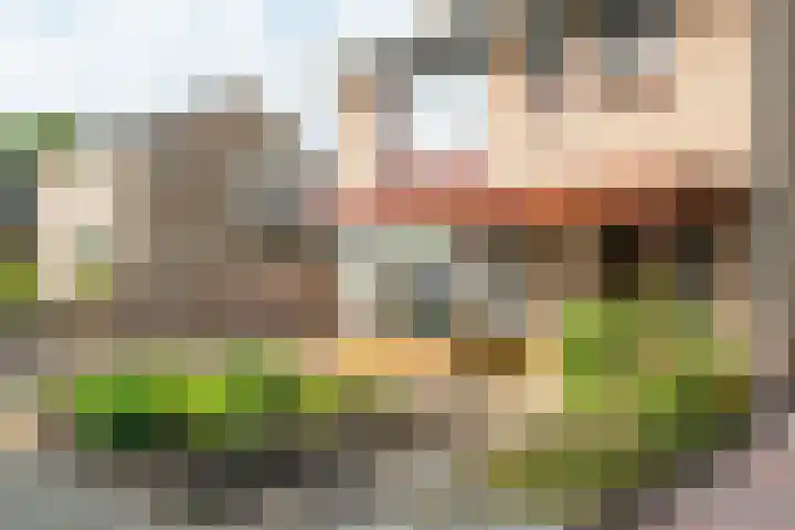 Prunushof 78 Zelhem thumbnail 10