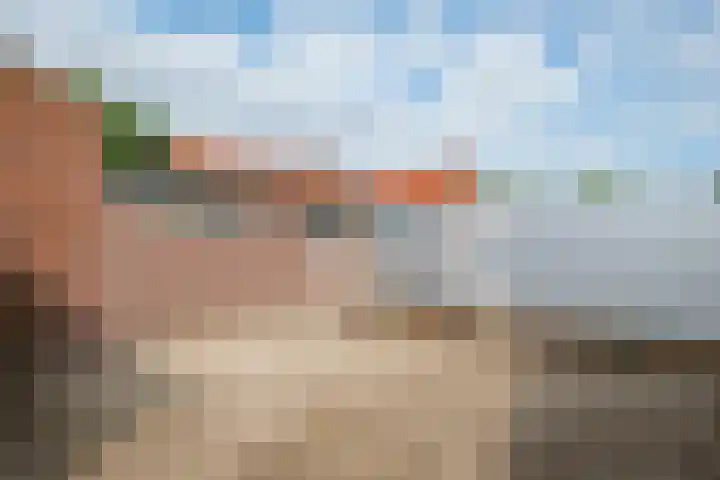 Prunushof 78 Zelhem thumbnail 39
