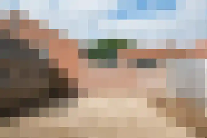 Prunushof 78 Zelhem thumbnail 40