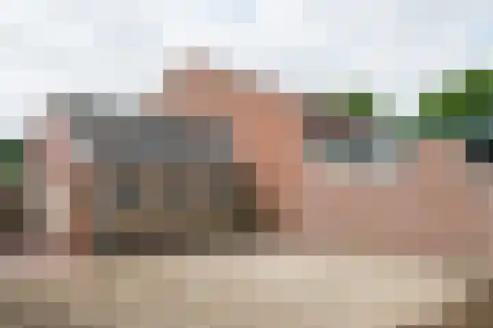 Prunushof 78 Zelhem thumbnail 41