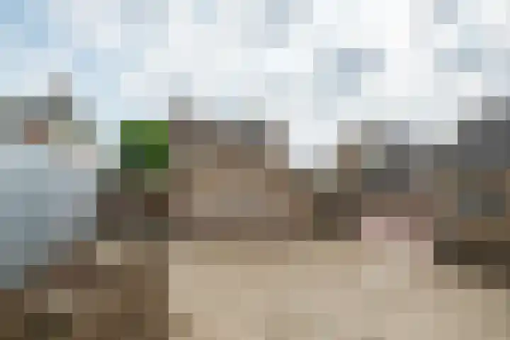 Prunushof 78 Zelhem thumbnail 43