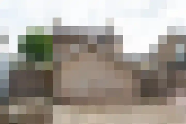 Prunushof 78 Zelhem thumbnail 44