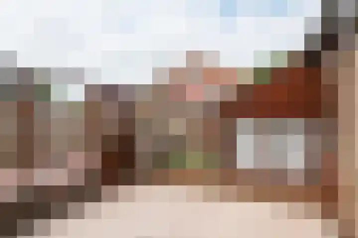 Prunushof 78 Zelhem thumbnail 46